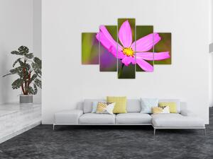 Obraz kvety (Obraz 150x105cm)