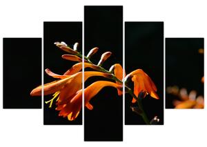 Obraz detailu kvety (Obraz 150x105cm)