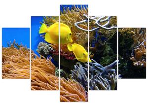 Podmorský svet - obraz (Obraz 150x105cm)