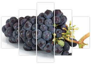 Obraz s hroznovým vínom (Obraz 150x105cm)