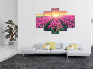 Obraz - polia kvetov (Obraz 150x105cm)
