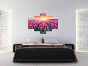 Obraz - polia kvetov (Obraz 150x105cm)
