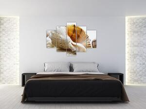 Obraz s mušlí (Obraz 150x105cm)