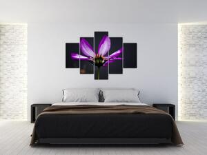 Obraz - kvety (Obraz 150x105cm)