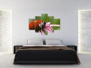 Obraz včely na kvete (Obraz 150x105cm)