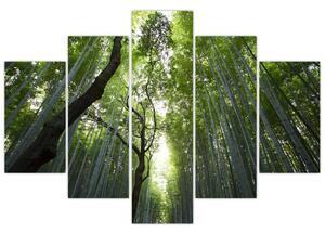 Obraz lesov (Obraz 150x105cm)