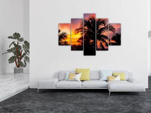 Obraz palmy na stenu (Obraz 150x105cm)