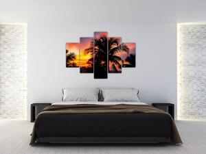 Obraz palmy na stenu (Obraz 150x105cm)