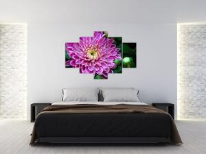 Obraz kvetu na stenu (Obraz 150x105cm)