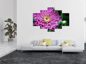 Obraz kvetu na stenu (Obraz 150x105cm)