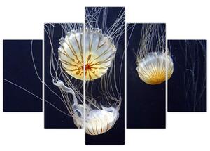 Obraz - medúzy (Obraz 150x105cm)