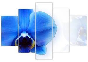 Obraz s orchideí (Obraz 150x105cm)