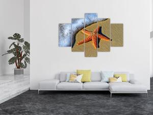 Obraz s morskou hviezdou (Obraz 150x105cm)