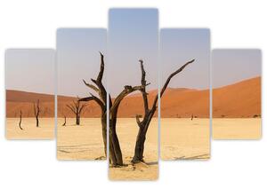 Obraz púšte (Obraz 150x105cm)