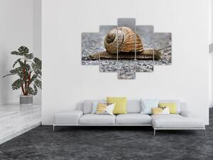 Ulita slimáka, obraz na stenu (Obraz 150x105cm)