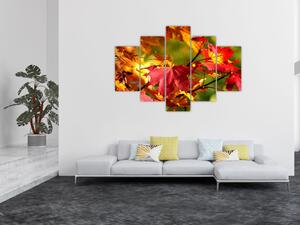 Jesenné lístie, obraz (Obraz 150x105cm)