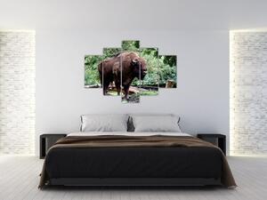 Obraz s americkým bizónom (Obraz 150x105cm)