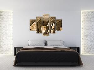 Slon, obraz (Obraz 150x105cm)