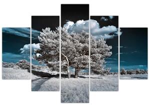 Strom v zime, obraz na stenu (Obraz 150x105cm)