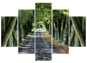 Údolie stromov, obrazy (Obraz 150x105cm)