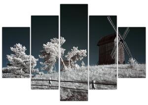 Veterný mlyn, obraz (Obraz 150x105cm)