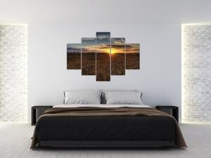Západ slnka na poli - obraz na stenu (Obraz 150x105cm)