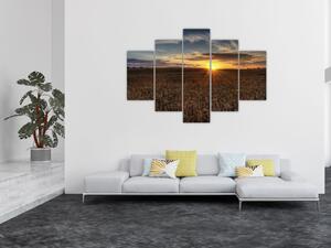Západ slnka na poli - obraz na stenu (Obraz 150x105cm)