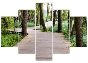 Cesta v lese - obraz (Obraz 150x105cm)