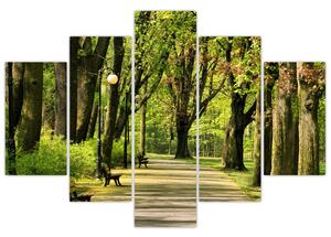 Cesta v parku - obraz (Obraz 150x105cm)