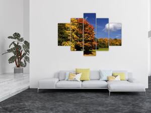 Jesenné stromy - obraz do bytu (Obraz 150x105cm)