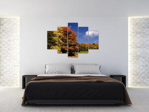 Jesenné stromy - obraz do bytu (Obraz 150x105cm)