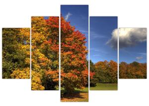 Jesenné stromy - obraz (Obraz 150x105cm)