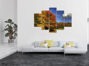 Jesenné stromy - obraz (Obraz 150x105cm)