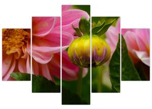 Obraz kvetu rastliny (Obraz 150x105cm)
