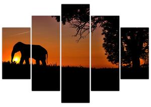 Obraz slona v prírode (Obraz 150x105cm)