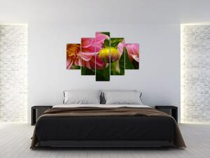 Obraz kvetu rastliny (Obraz 150x105cm)