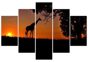 Obraz žirafy v prírode (Obraz 150x105cm)