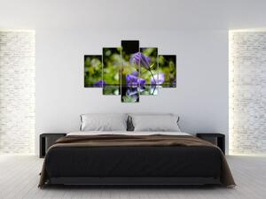 Modrá kvetina - obraz (Obraz 150x105cm)