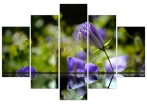 Modrá kvetina - obraz (Obraz 150x105cm)