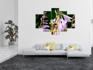 Kvety - obraz (Obraz 150x105cm)