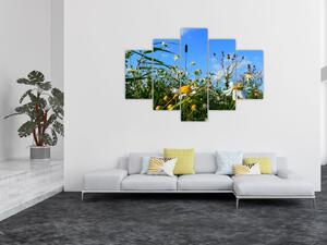 Obraz lúčnych kvetov (Obraz 150x105cm)