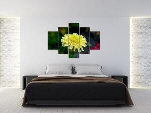 Obrazy kvetiny (Obraz 150x105cm)