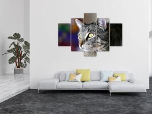 Mačka - obraz (Obraz 150x105cm)