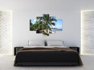 Palma - obraz (Obraz 150x105cm)