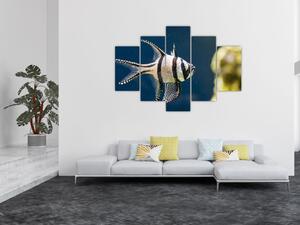 Ryba - obraz (Obraz 150x105cm)