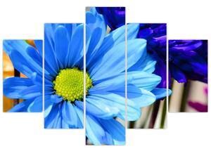 Modrá chryzantéma - obrazy (Obraz 150x105cm)