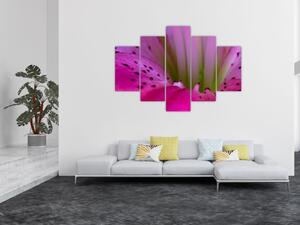 Detail kvetu - moderný obraz (Obraz 150x105cm)