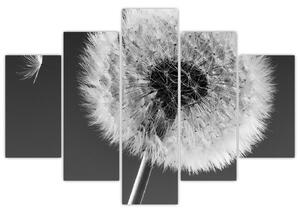 Odkvitnutá púpava - obraz kvetín (Obraz 150x105cm)