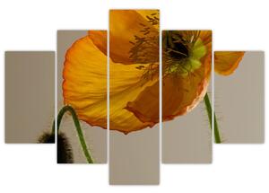 Žltý kvet - obraz (Obraz 150x105cm)