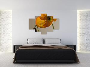 Žltý kvet - obraz (Obraz 150x105cm)
